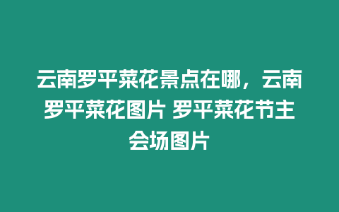 云南羅平菜花景點在哪，云南羅平菜花圖片 羅平菜花節(jié)主會場圖片