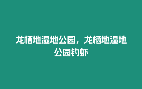 龍棲地濕地公園，龍棲地濕地公園釣蝦