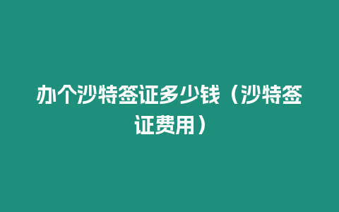 辦個(gè)沙特簽證多少錢（沙特簽證費(fèi)用）