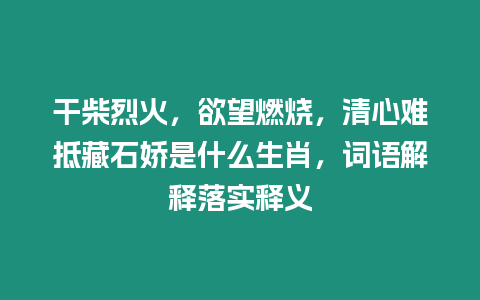 干柴烈火，欲望燃燒，清心難抵藏石嬌是什么生肖，詞語解釋落實(shí)釋義