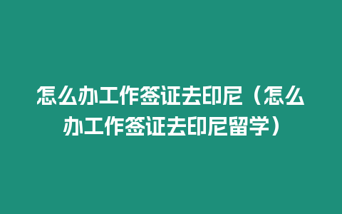 怎么辦工作簽證去印尼（怎么辦工作簽證去印尼留學(xué)）