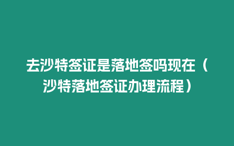 去沙特簽證是落地簽嗎現在（沙特落地簽證辦理流程）