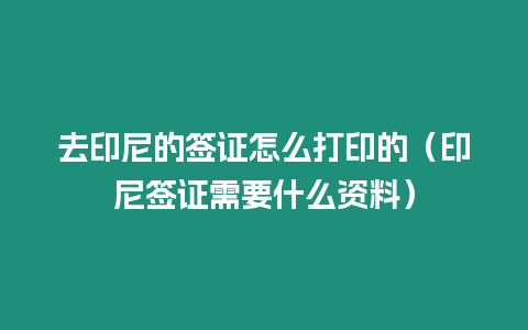 去印尼的簽證怎么打印的（印尼簽證需要什么資料）