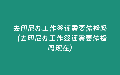 去印尼辦工作簽證需要體檢嗎（去印尼辦工作簽證需要體檢嗎現在）