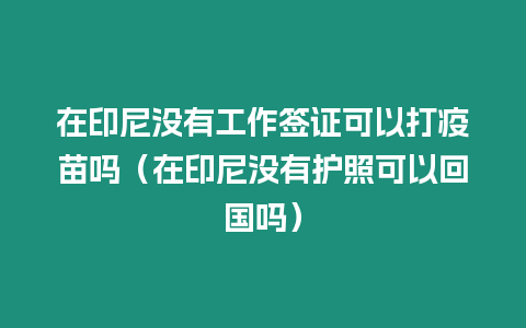 在印尼沒有工作簽證可以打疫苗嗎（在印尼沒有護(hù)照可以回國(guó)嗎）