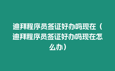 迪拜程序員簽證好辦嗎現在（迪拜程序員簽證好辦嗎現在怎么辦）