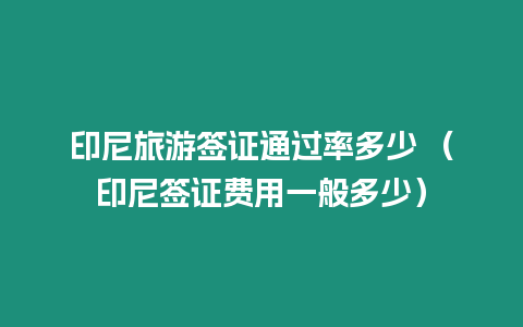 印尼旅游簽證通過率多少 （印尼簽證費用一般多少）