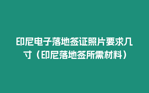 印尼電子落地簽證照片要求幾寸（印尼落地簽所需材料）