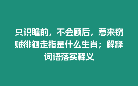 只識瞻前，不會顧后，惹來竊賊徘徊走指是什么生肖；解釋詞語落實釋義