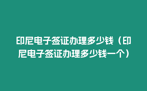 印尼電子簽證辦理多少錢（印尼電子簽證辦理多少錢一個）