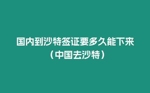 國內到沙特簽證要多久能下來（中國去沙特）