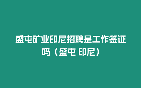 盛屯礦業印尼招聘是工作簽證嗎（盛屯 印尼）