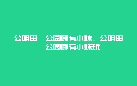 公明田寮公園哪有小妹，公明田寮公園哪有小妹玩