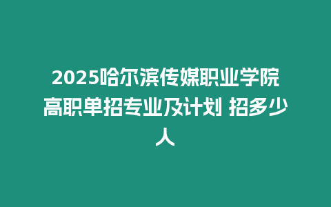 2025哈爾濱傳媒職業學院高職單招專業及計劃 招多少人