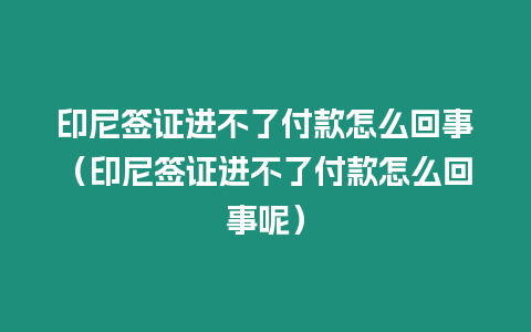 印尼簽證進(jìn)不了付款怎么回事（印尼簽證進(jìn)不了付款怎么回事呢）