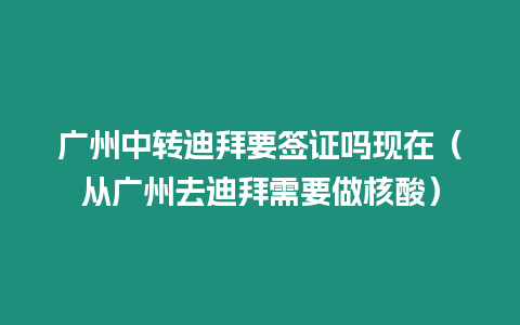 廣州中轉(zhuǎn)迪拜要簽證嗎現(xiàn)在（從廣州去迪拜需要做核酸）