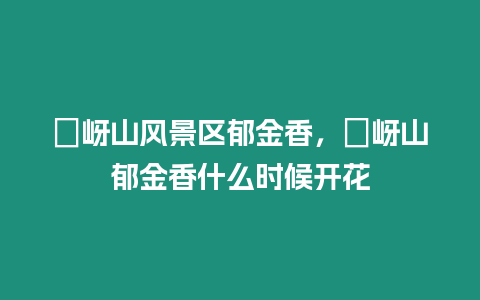 嵖岈山風(fēng)景區(qū)郁金香，嵖岈山郁金香什么時候開花