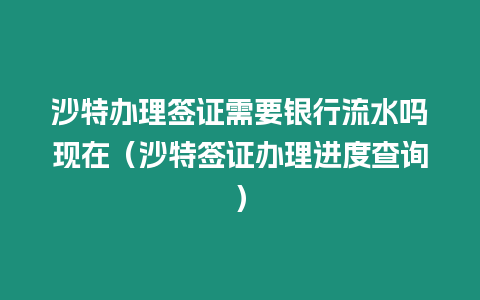 沙特辦理簽證需要銀行流水嗎現在（沙特簽證辦理進度查詢）