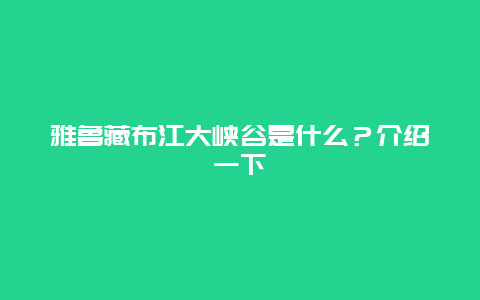 雅魯藏布江大峽谷是什么？介紹一下