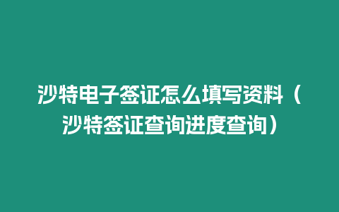 沙特電子簽證怎么填寫資料（沙特簽證查詢進(jìn)度查詢）