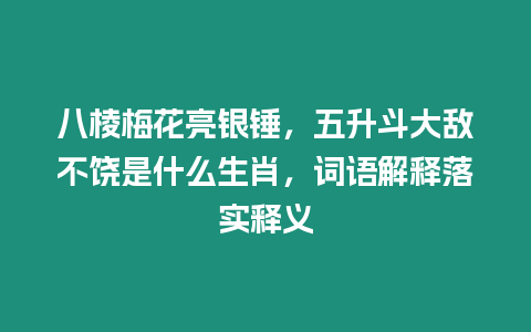 八棱梅花亮銀錘，五升斗大敵不饒是什么生肖，詞語(yǔ)解釋落實(shí)釋義