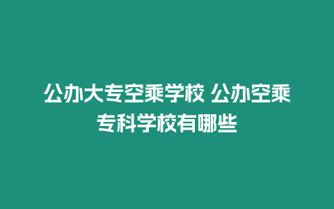 公辦大?？粘藢W校 公辦空乘專科學校有哪些