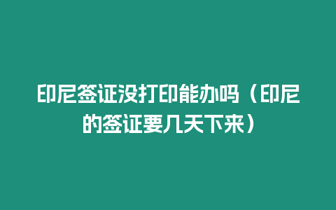 印尼簽證沒打印能辦嗎（印尼的簽證要幾天下來）