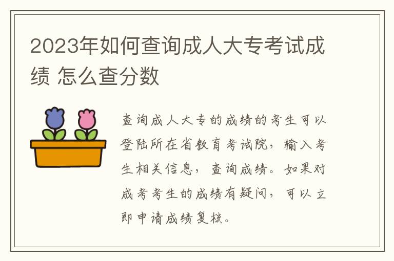 2025年如何查詢成人大?？荚嚦煽?怎么查分數