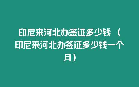 印尼來河北辦簽證多少錢 （印尼來河北辦簽證多少錢一個月）