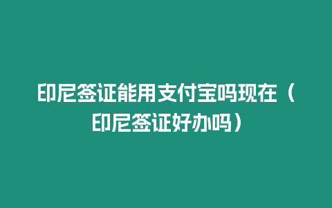 印尼簽證能用支付寶嗎現(xiàn)在（印尼簽證好辦嗎）