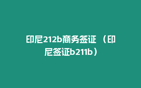 印尼212b商務簽證 （印尼簽證b211b）