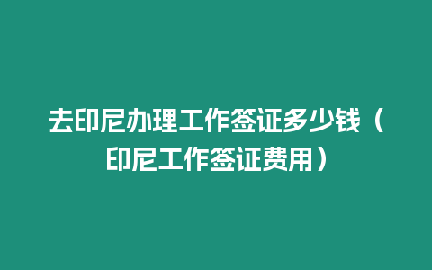 去印尼辦理工作簽證多少錢（印尼工作簽證費用）