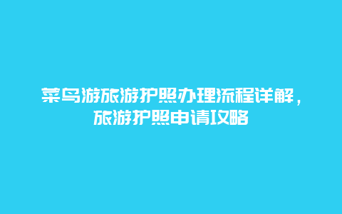 菜鳥游旅游護(hù)照辦理流程詳解，旅游護(hù)照申請(qǐng)攻略