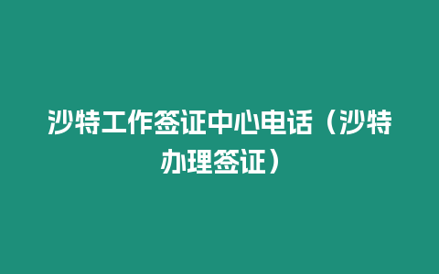 沙特工作簽證中心電話（沙特辦理簽證）