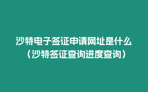 沙特電子簽證申請網址是什么（沙特簽證查詢進度查詢）