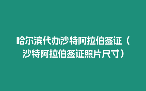 哈爾濱代辦沙特阿拉伯簽證（沙特阿拉伯簽證照片尺寸）