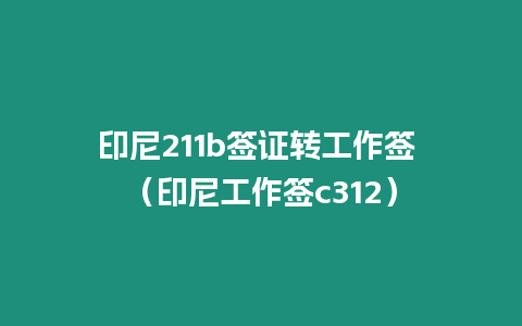 印尼211b簽證轉工作簽 （印尼工作簽c312）