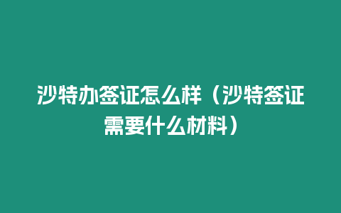 沙特辦簽證怎么樣（沙特簽證需要什么材料）