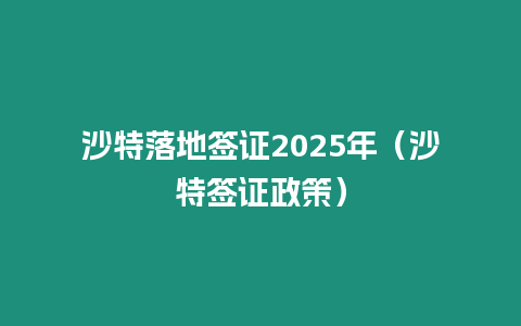 沙特落地簽證2025年（沙特簽證政策）