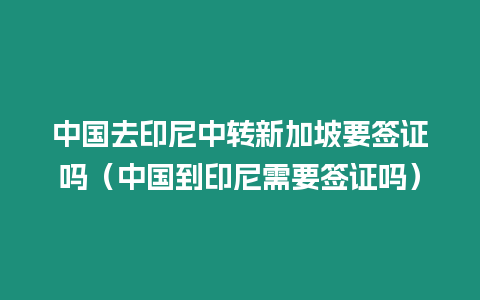 中國去印尼中轉新加坡要簽證嗎（中國到印尼需要簽證嗎）