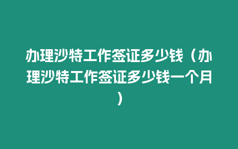 辦理沙特工作簽證多少錢（辦理沙特工作簽證多少錢一個月）