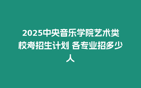 2025中央音樂(lè)學(xué)院藝術(shù)類校考招生計(jì)劃 各專業(yè)招多少人