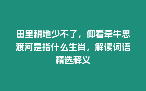 田里耕地少不了，仰看牽牛思渡河是指什么生肖，解讀詞語精選釋義