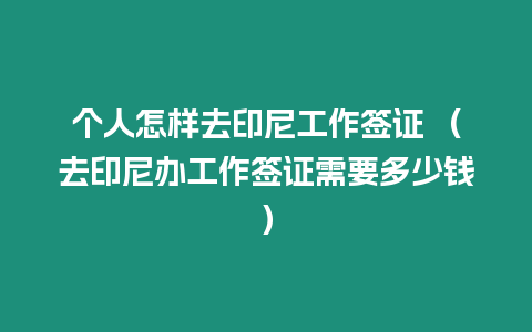 個人怎樣去印尼工作簽證 （去印尼辦工作簽證需要多少錢）