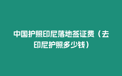 中國護照印尼落地簽證費（去印尼護照多少錢）