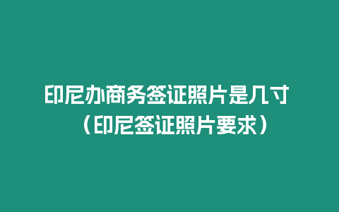 印尼辦商務簽證照片是幾寸 （印尼簽證照片要求）