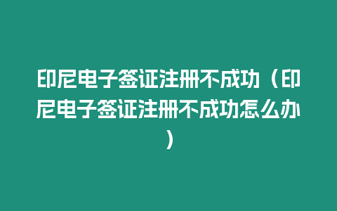 印尼電子簽證注冊不成功（印尼電子簽證注冊不成功怎么辦）