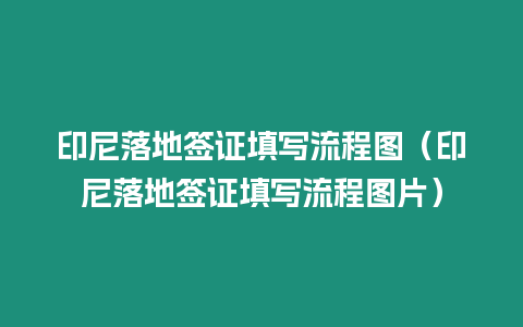 印尼落地簽證填寫流程圖（印尼落地簽證填寫流程圖片）