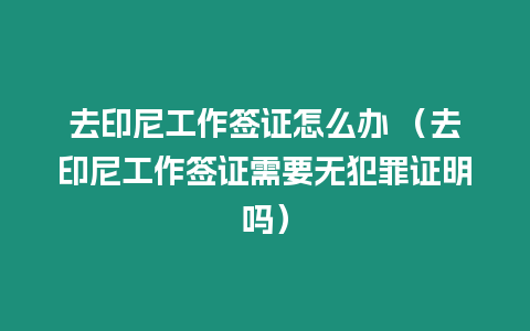 去印尼工作簽證怎么辦 （去印尼工作簽證需要無犯罪證明嗎）