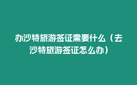 辦沙特旅游簽證需要什么（去沙特旅游簽證怎么辦）